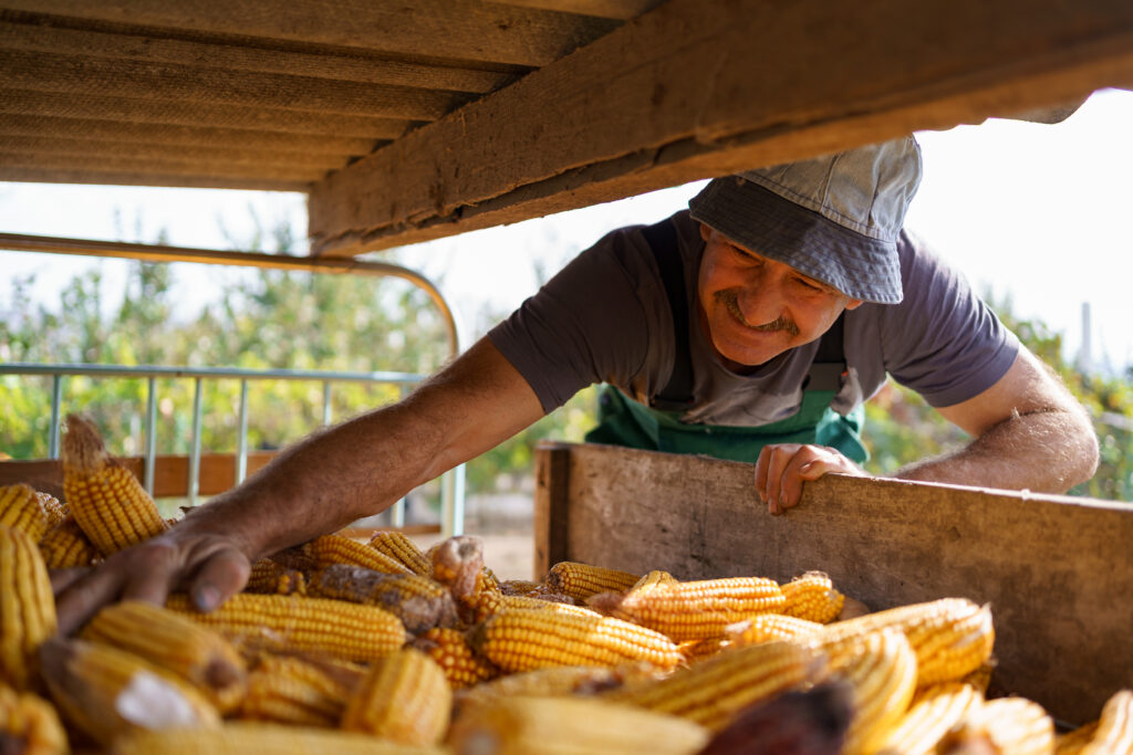 Importar para o Agro: como transformar burocracia em vantagem competitiva 